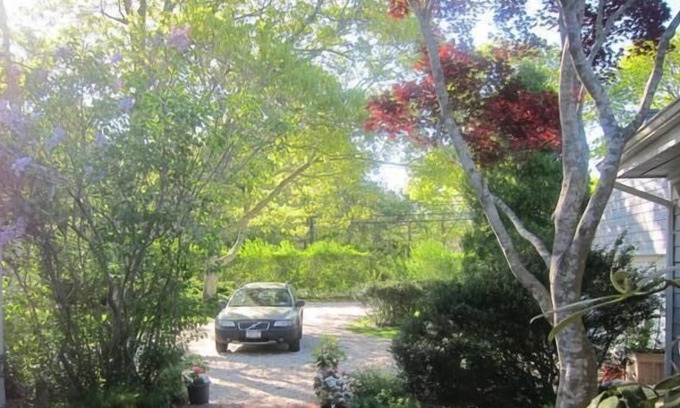 Quogue Casa | Privado, encantadora casa de playa en 1. 5 acres de tierra con piscina.