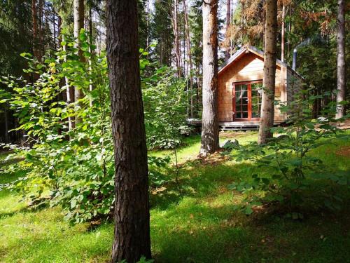 Inturkes seniunija Casa | Private cosy forest cabin