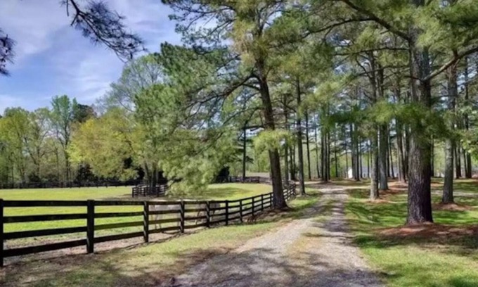 Berkeley Cabaña | Private Cottage on Horse Farm in Williamsburg!