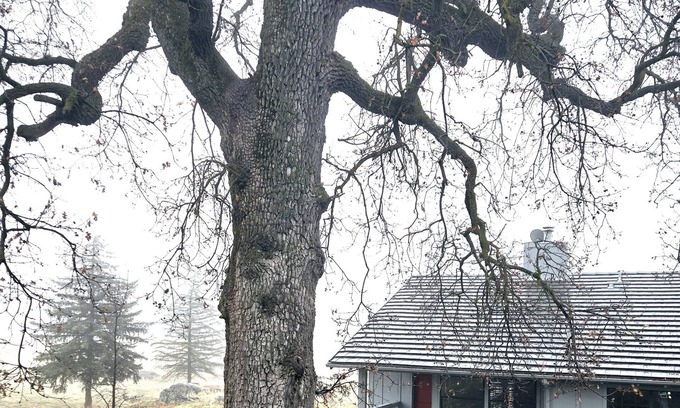 Stallion Springs Cabaña | Private cottage quiet & peaceful 2-bedroom