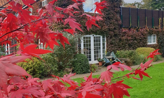 Norwich Cama Y Desayuno | Private entrance, parking, peace and quiet within walking distance of the city