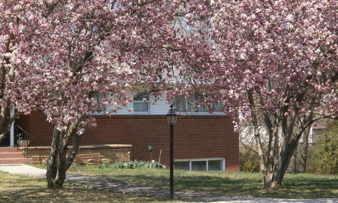 Knoxville Apartamento | Entrada privada con parking cubierto.