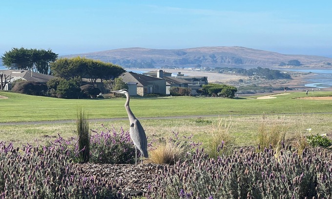 Bodega Bay Casa | Private-Full Views-14th Fairway-4.5Bedrooms-3 Baths-2900 sqft-Pool Table-Hot Tub