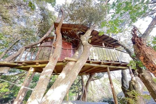 Otaki Otro | Private Garden Otaki - Vacation STAY 42041v