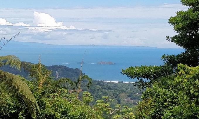 Ballena Casa | Jungle Retreat - 43 Acres - 2230sf Experimenta la naturaleza con comodidad