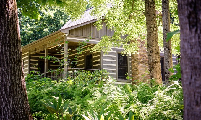 Laurel Fork Cabina | Privado, en 53 acres, justo al lado de Blue Ridge Parkway