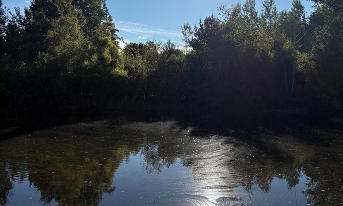 Marion Casa | Private pond where memories are made!