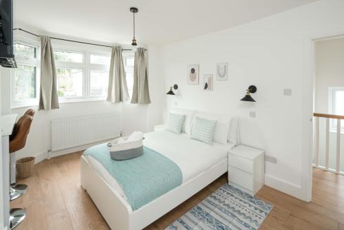 Ashburton Casa | Private room in Modern and Stylish House