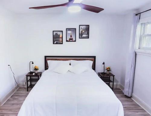 Sulphur Springs Casa | Private Suite near Busch Gardens Adventure Island USF and I-275