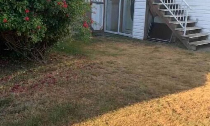 Surrey Newton Apartamento | Private suite, separate entrance, central location