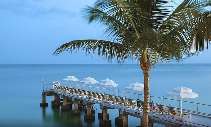 Uptown - Upper Duval Complejo | Private Tanning Pier! 4 Modern Units By The Beach, 3 Onsite Pools, Beach Access