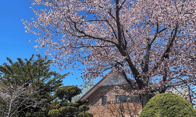 Kushiro Casa | Private villa with large garden BBQ with your pet / Kushiro Hokkaidō