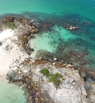 Parque das Palmeiras Alquiler De Eote | Privilège Passeio de Lancha em Angra dos Reis e Ilha Grande