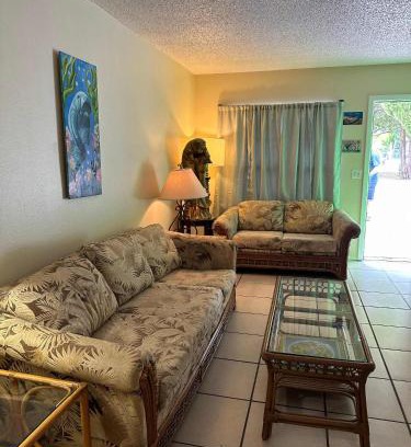 Crystal River Apartamento | Professor Rousseau's Manatee Bay