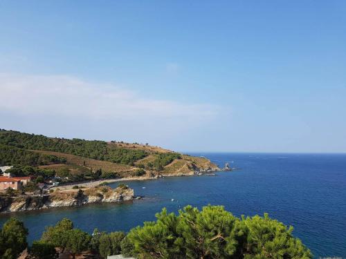 Banyuls-sur-Mer Apartamento | Profitez De La Vue !