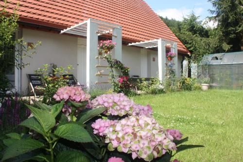 Ladek-Zdroj Apartamento | Przystanek Dzika Dolina