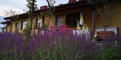 gmina Ruda Maleniecka Casa | Pszczeli Ogród - agroturystyka