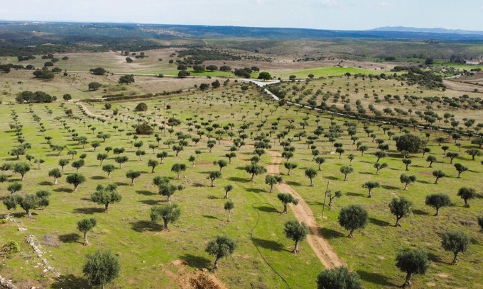 Castelo de Vide Cabaña | Casa da Meada - Herdade Santo Isidro | Santo Isidro 6 | Alentejo