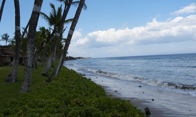 Downtown Lahaina Condominio | PUAMANA 2 BR PREMIER UNIT, 70 FT TO OCEAN: (milla de frente al mar)