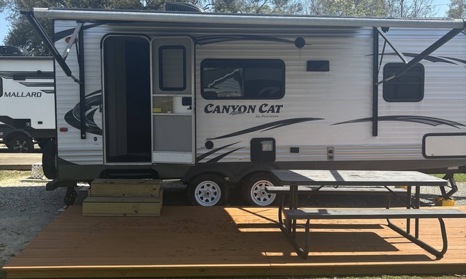 Florida Panhandle Casa | Puma in the Park