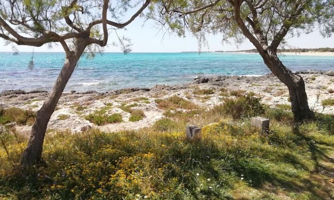 Punta Prosciutto Casa | Punta Grossa - Porto Cesareo