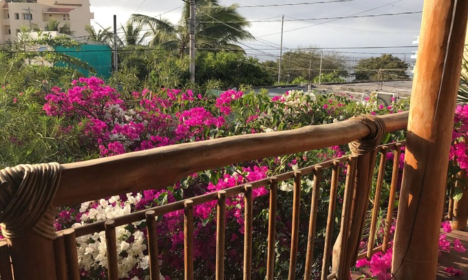 Emiliano Zapata Casa | Casa de la playa de Punta Mita - The Original Casa Sera