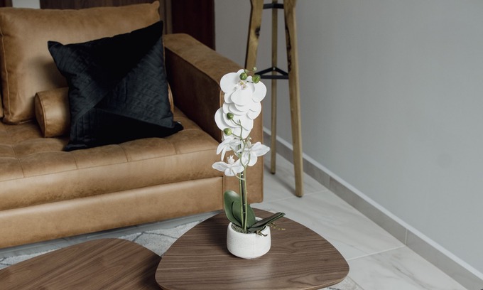Coyoacán Apartamento | Punto Lofts Periférico Sur