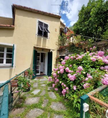 Sori Apartamento | Pupetta Garden