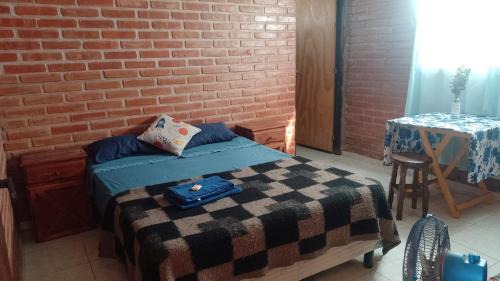 Cortaderas Casa | Pura Vida