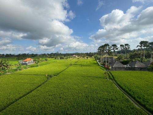 Kedewatan Casa | Puri Taksu Guest House
