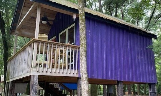 Juliette Casa | Purple Pines