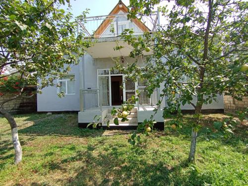 Gabala Villa | Qəbələnin mərkəzində 7 otaqlı ,dostlarınızla və ya ailənizlə istirahət etməniz üçün əla məkan