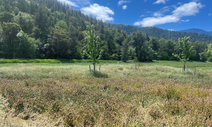Jacksonville Casa | Quail Run Mountain View Cottage!