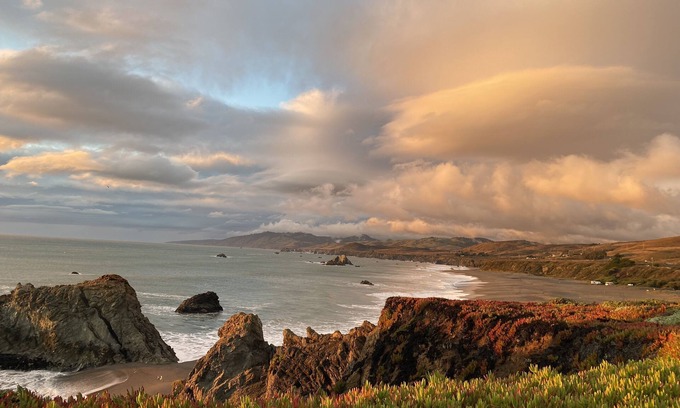 Bodega Bay Cabaña | Quaint Ocean Getaway, Walk to Beach, Dogs Invited