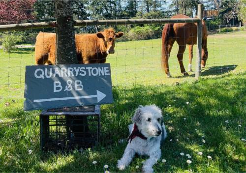 Salt Spring Island Cama Y Desayuno | Quarrystone House B&B