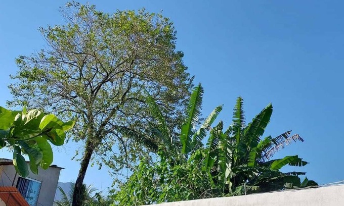 Sertao da Quina Cabaña | Quarto Para Grupo até 4 Pessoas Praia da Maranduba Ubatuba Sp
