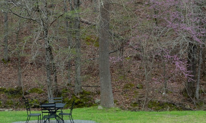 Mount Ida Apartamento | Queen Guest Room located at the Joplin Inn at the entrance to Mountain Harbor, , just 2 1/2 miles from Lake Ouachita. by RedAwning