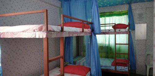 Naga Casa | Quickshape/Quickshield Homestay
