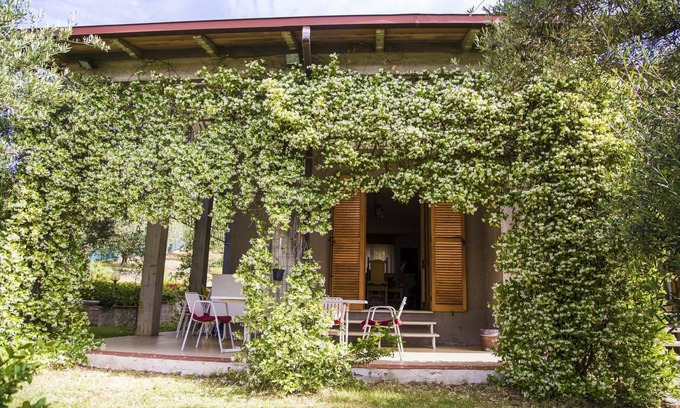 Montelaguardia Casa | Quiet,amid olive trees,BBQ,garden,free parking,10 min drive to centre & motorway