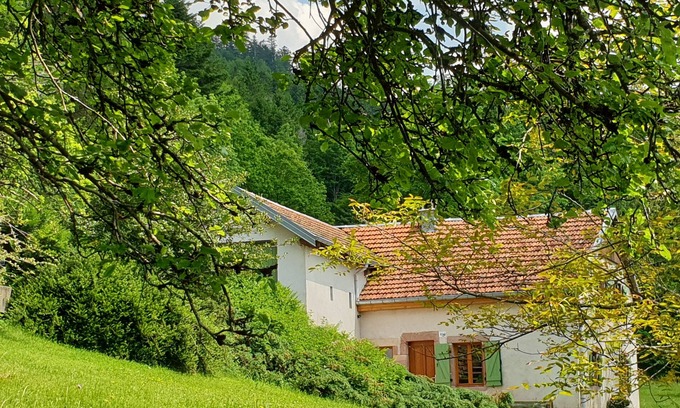Fraize Casa | Casa tranquila en el campo a 725 m