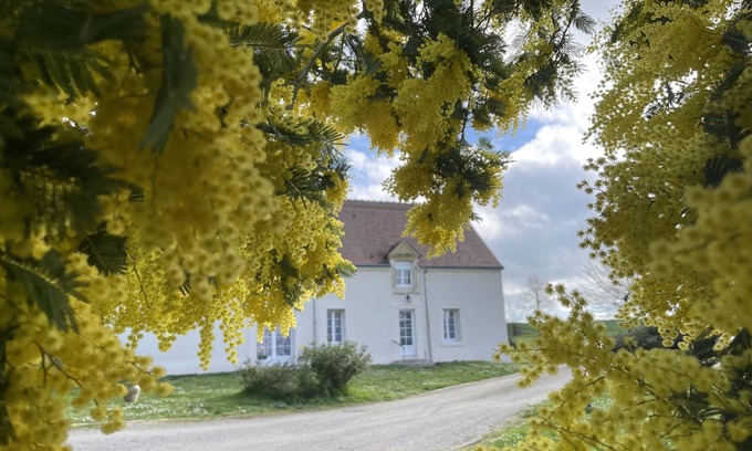 Gracay Cabaña | Quiet Country House - Pets accepted.