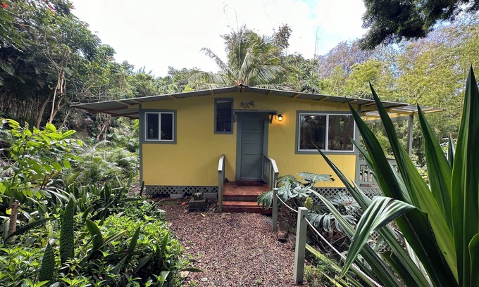 Hawi Apartamento | Quiet eco-friendly studio nestled in Bamboo grove minutes from Hawi town