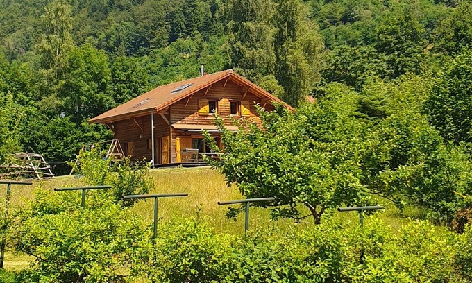 Saint-Maurice-sur-Moselle Chalet De Esquí | Chalet tranquilo, estanque privado para pescar o nadar a 4 km de las tiendas