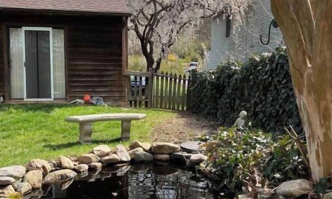 Roanoke Casa | Quiet home that deer visit