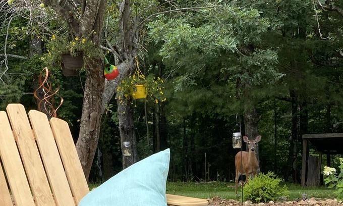 Sparta Casa | Quiet, tranquil and peaceful setting just steps from the Blue Ridge Parkway