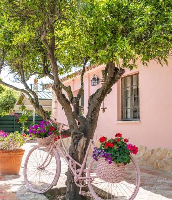 Lagoa e Carvoeiro Casa | Quinta Aida Cottage and B&B Suites