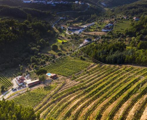 Arganil Casa | Quinta da Aldeia Nova