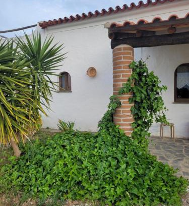 Reguengos de Monsaraz Casa | Quinta da Belavista