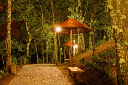 Felgueiras Casa | Quinta da Costa