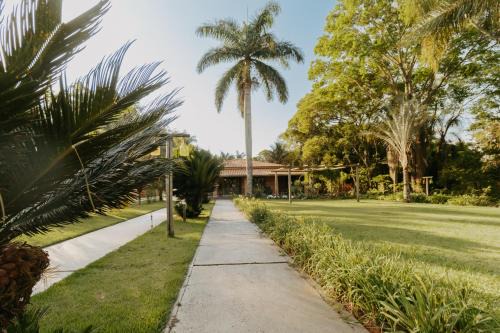 Oleo Casa | Quinta de Brumado